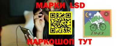 гидропоника Пенза