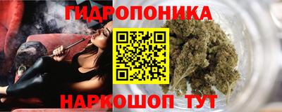 скорость Обь