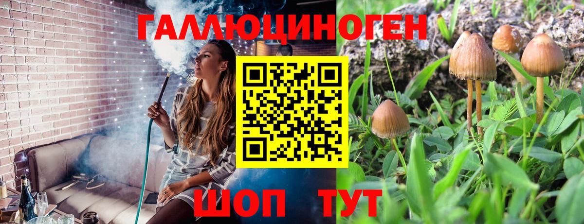 Галлюциногенные грибы Psilocybine cubensis Спасск-Дальний