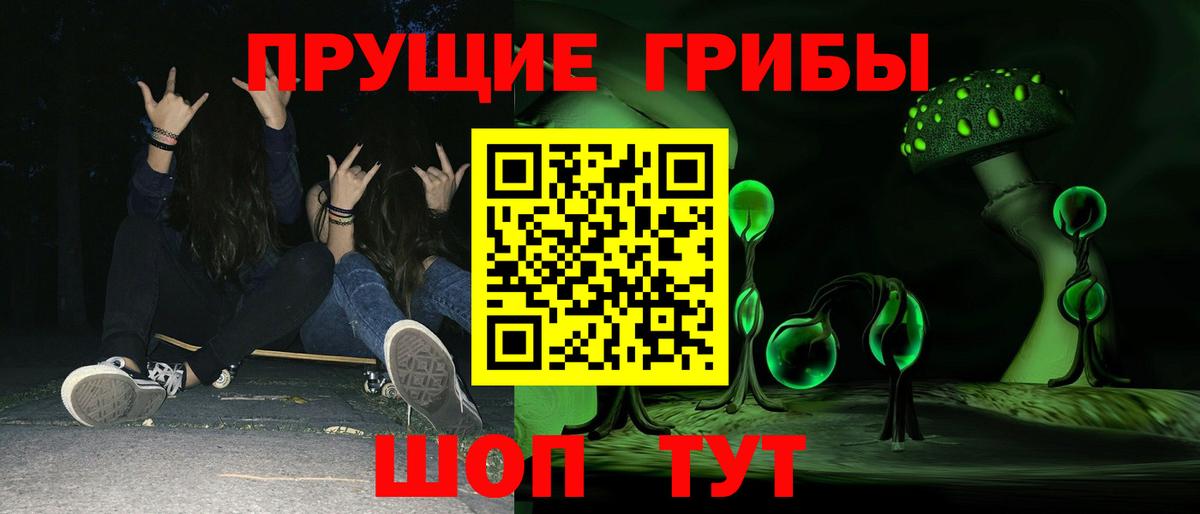 Псилоцибиновые грибы GOLDEN TEACHER  Псилоцибиновые грибы GOLDEN TEACHER  Вход с VPN  Спасск-Дальний 